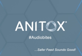 Anitox Audiobites – Milling Challenges with Chris Burton and Paul Quinn (Part 4)